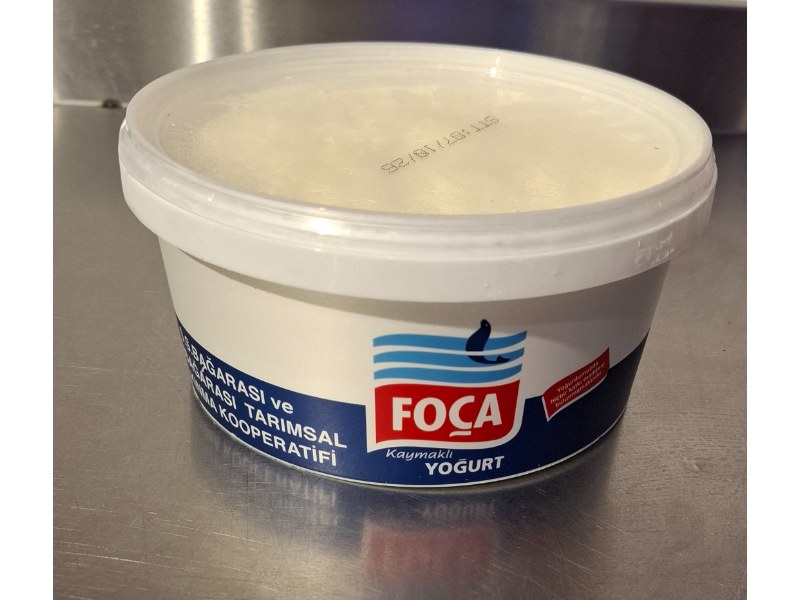 Foça kaymaklı yoğurt
